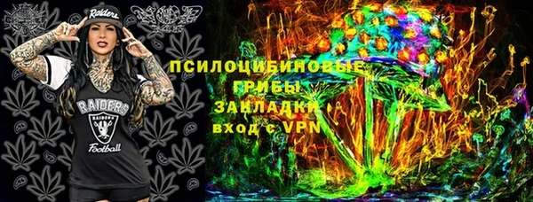 бошки Вязьма